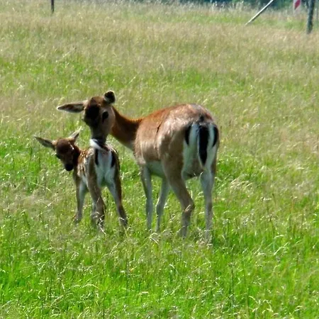 Christina Hinterweiler