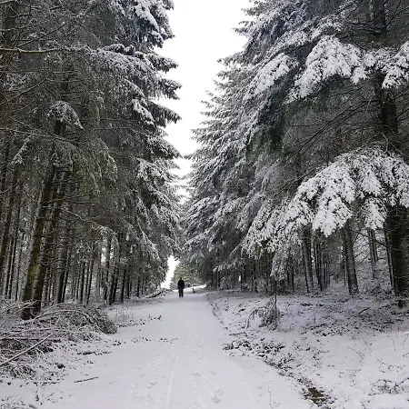 Christina Hinterweiler