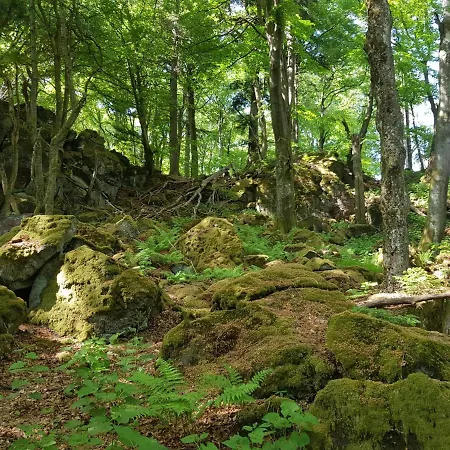 Appartamento Christina *