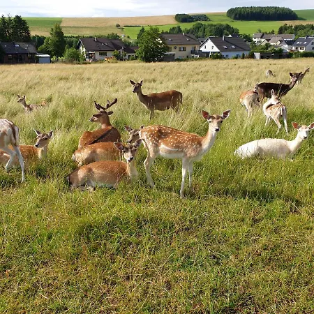 Christina Hinterweiler