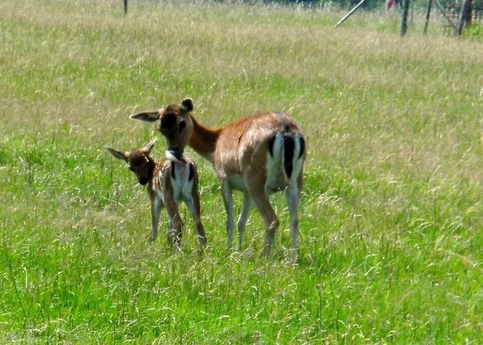 Christina Hinterweiler