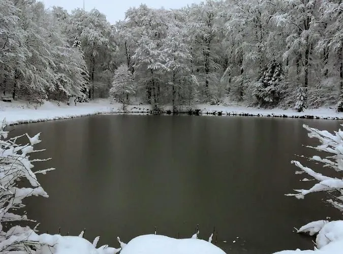 Christina Apartment *