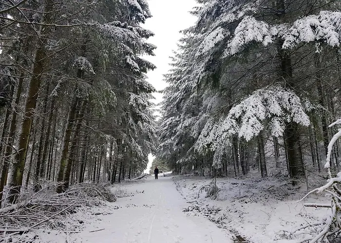 Christina Hinterweiler