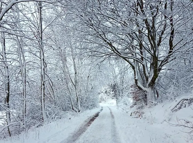 Christina Apartment Hinterweiler